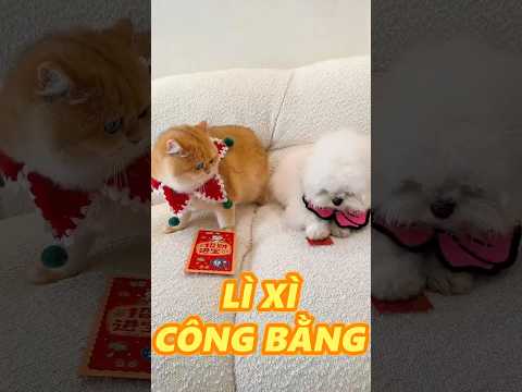 ÔNG BA LÌ XÌ ĐỀU QUÁ thumbnail