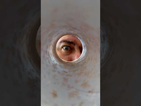 Rosca de Papitas #shorts thumbnail
