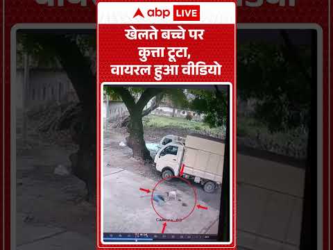 Viral News : खेलते बच्चे पर कुत्ता टूटा, वायरल हुआ वीडियो | #ytshorts #dogattack #dog #dogbitecases thumbnail