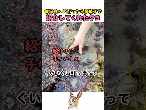 タコと友だちになった結果 thumbnail