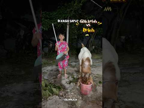 BOLEH VS GAK BOLEH #dramangakak thumbnail