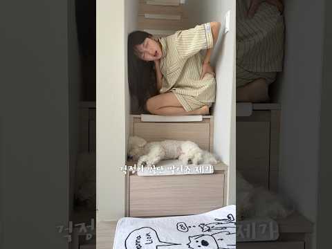 계단에서만 자는 강아지 ㄷㄷ thumbnail