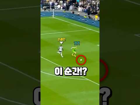 골키퍼가 손흥민을 무시하면 벌어지는 일 thumbnail