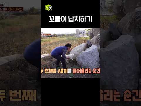 ???: 할무니 누구세요(어리둥절) #달리 #DALI #TV동물농장 #shorts thumbnail