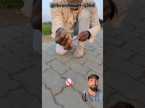 Huevo y serpiente IbranAnsari-ij3bd thumbnail