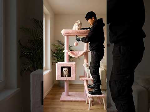 ✅ Ultimate Luxury Cat Tree Makeover ? | Full Build Timelapse ? thumbnail