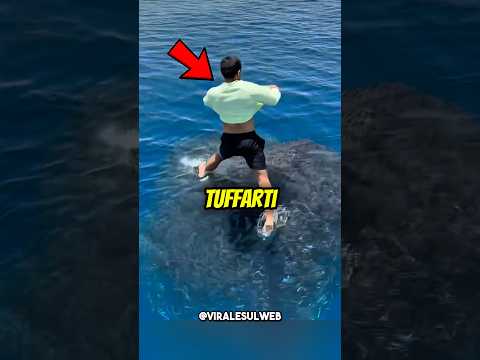 Se vedi questa MACCHIA,non TUFFARTI😱🦈 #shorts thumbnail