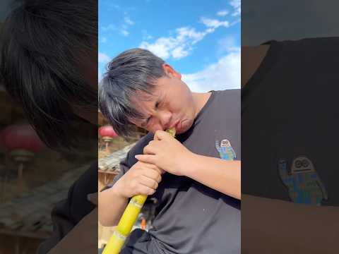 Ăn cây mía cũng không được bình thường thumbnail