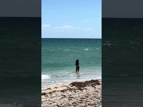 🇺🇸 Beach day at Miami beach thumbnail