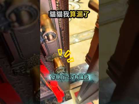 今天沒有帶鑰匙?貓貓你在嗎?? thumbnail