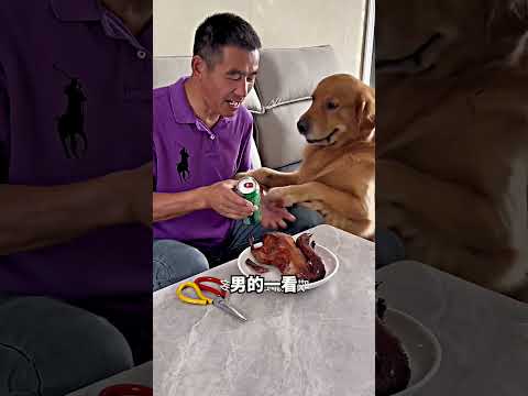 狗狗用汽水换鸡肉，竟然是拿去给妈妈? thumbnail