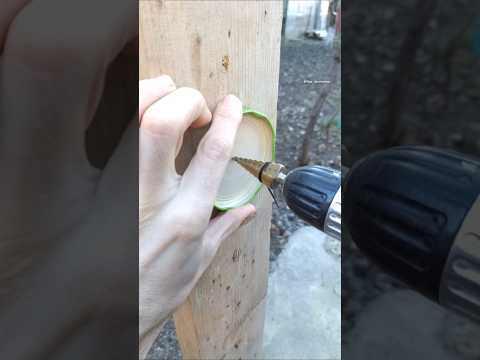 A Great Home Trick from a Veteran Electrician to Protect your Outdoor Light Bulbs from Damage #diy thumbnail
