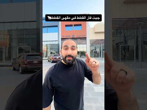 جبت فأر للقطط في مقهى القطط ? thumbnail
