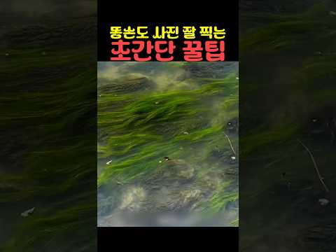 똥손도 사진 잘 찍는 초간단 꿀팁 thumbnail