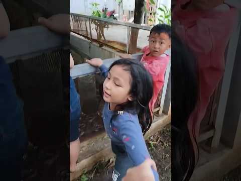 Mama Kaget Dedek Sm Teman Ara Mancing D Sumur Kolam Yg Ada Ular Air. Jgn Disini Bahaya Kita Plg 🎣🐍 thumbnail