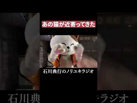 あの猫が近寄ってきたｗ #カラオケ #富山 thumbnail