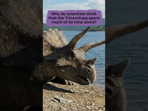 Dinos A to Z: Triceratops | #shorts thumbnail