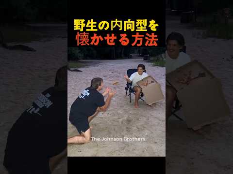 野生の内向型を懐かせる方法 thumbnail