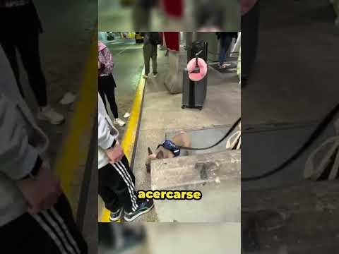 PERRITO SE RE ENCUENTRA CON SU DUEÑO!! thumbnail