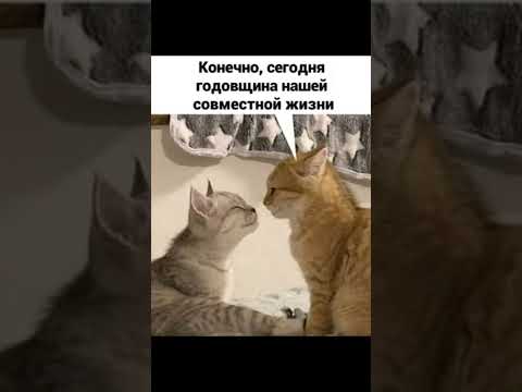 Мем про годовщину thumbnail