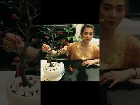 BB&BG : khi nhà toàn phụ nữ có người nhấn chuông #shorts thumbnail