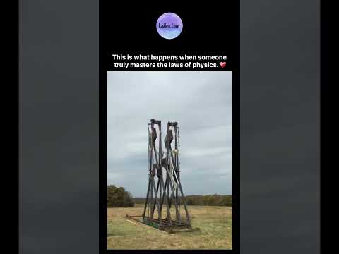 This is what happens when someone truly masters the laws of physics. 😍 thumbnail
