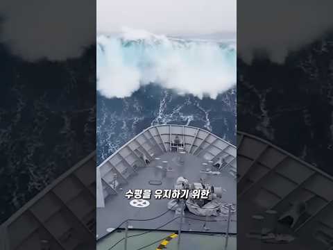 거대한 선박이 파도를 버티는 3가지 기술 thumbnail