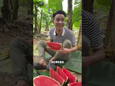 长这么大才知道顺藤摸瓜是这样演变出来的…#shorts #funny #搞笑 thumbnail