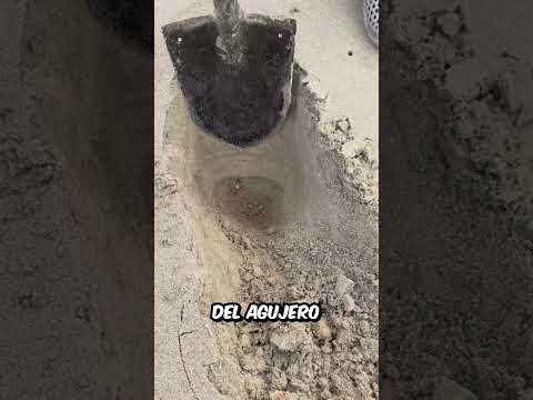 NO TE vas a CREER lo que se encontró ESTA CHICA en el AGUJERO de la PLAYA thumbnail