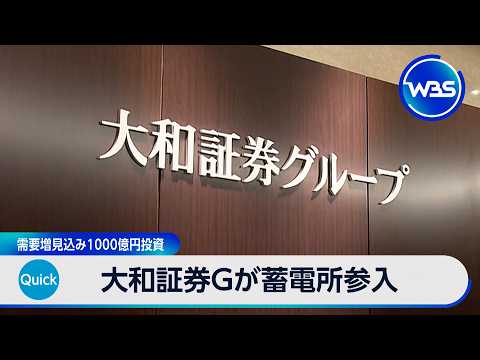 大和証券Gが蓄電所参入 需要増見込み1000億円投資【WBS】 thumbnail