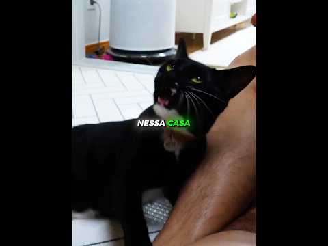 Ele não conseguia dormir sem se machucar 🥺 ❤️ thumbnail