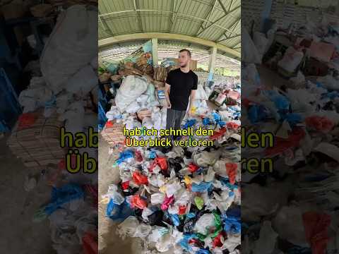 Deswegen wollte ich eine Katze in Müllpresse werfen ?? thumbnail