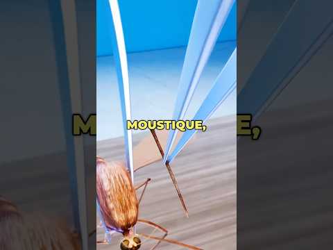 Cette imprimante 3D utilise un moustique 🦟 thumbnail