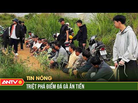 Triệt phá điểm đá gà ăn tiền, tạm giữ hơn 20 người | ANTV thumbnail