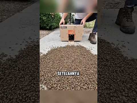 Pria ini menemukan sarang lebah menutupi lampu mobilnya ? thumbnail