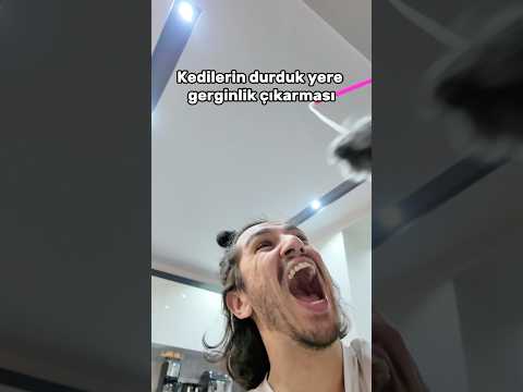Senin kedinde böyle mi? 😂 thumbnail