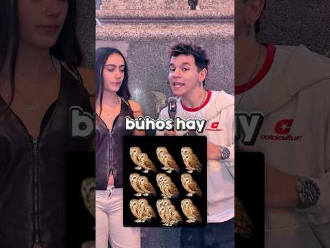 Cuantos BÚHOS hay?? thumbnail