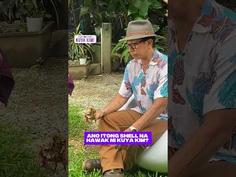 Ano kaya ang shell na hawak ni Kuya Kim? | Dami Mong alam, Kuya Kim! thumbnail