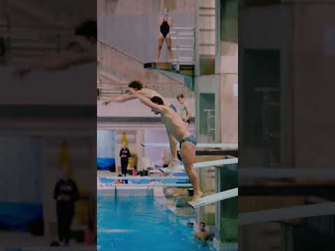 Diving thumbnail