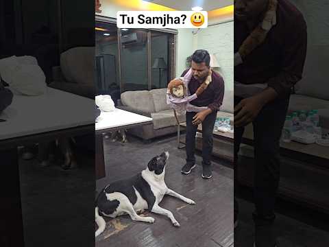 Tu samjha ? #laughingcolours #comedy #ventriloquism #ventriloquist #romeo thumbnail