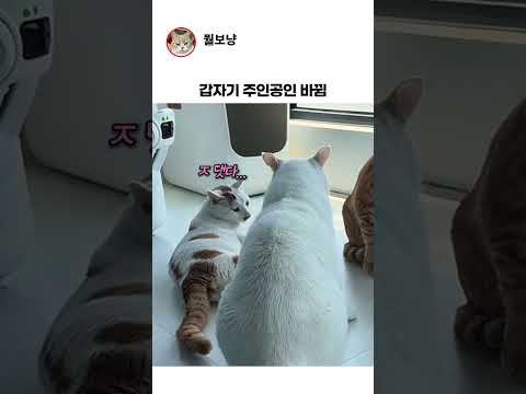 민망한 순간ㅋㅋㅋㅋ thumbnail