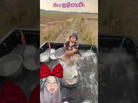 Cuci Piring Ri Mobil Losbak ?⁉️ @กุ้งสายซิ่ง thumbnail