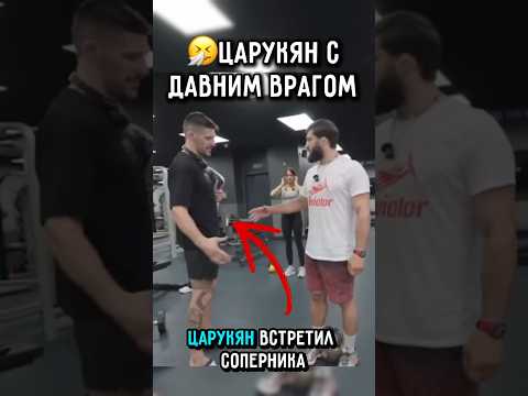 ?Царукян Сроднился с Соперником после боя.. #ufc #царукян #топурия thumbnail