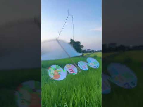 Đại gia Văn Quý toàn diều đểu thôi #thadieu #dieusao #thadieusao  #shorts #caulongbocondua thumbnail