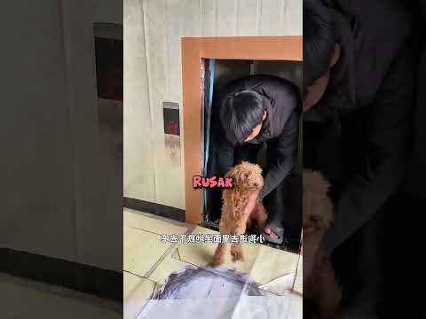 Cowok ini Naik Lift Sekecil Kotak Sepatu thumbnail