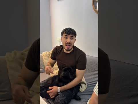 Pastayı kim yedi isim verirmisin #shortsvideo #sorts #youtubeshorts thumbnail