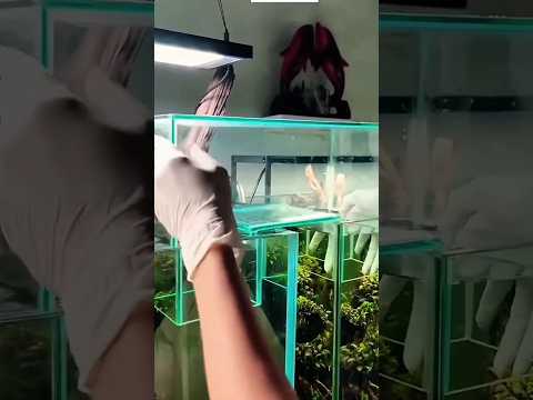 Manfaat Yang Didapat Jika Sekolah Dengan Benar! thumbnail