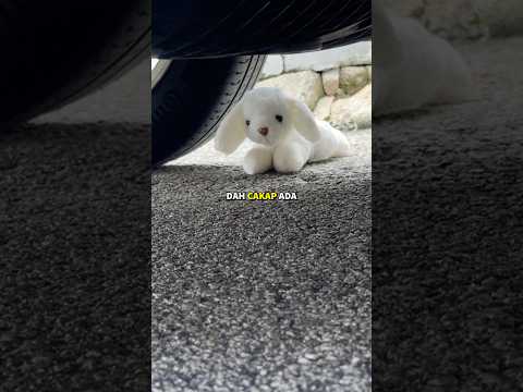 SHE SAVED CUTE PUPPY 🙀 thumbnail