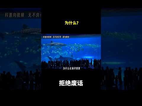 为什么？ #冷知识 #涨知识 thumbnail