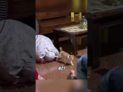 Bỏ người tốt - chốt người tồi 🙄 thumbnail